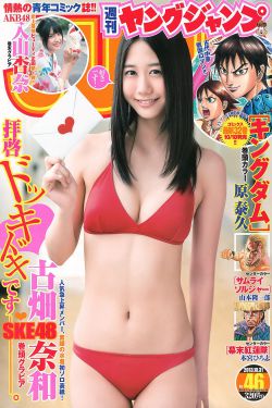 凤帝九倾